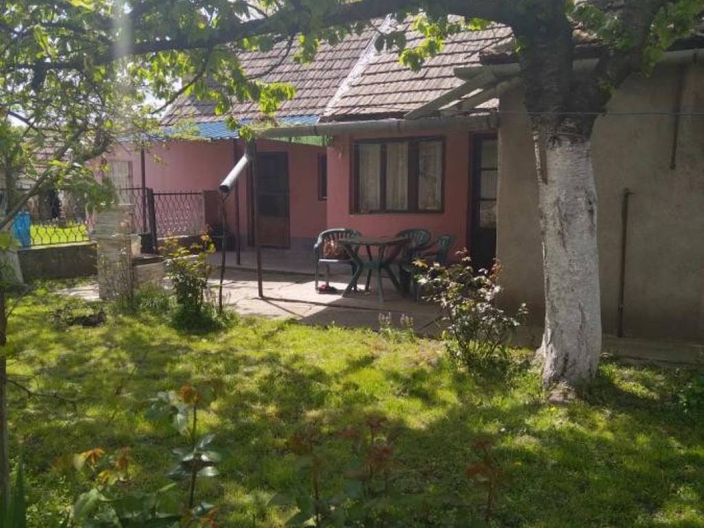 Foto 20