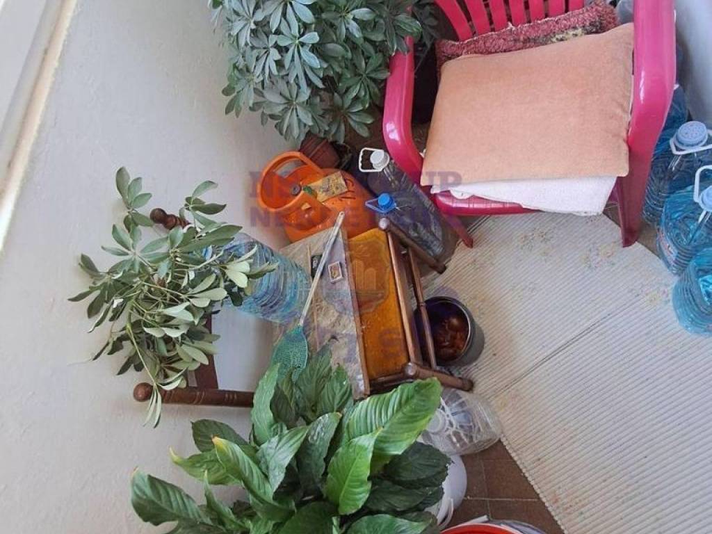 Foto 15