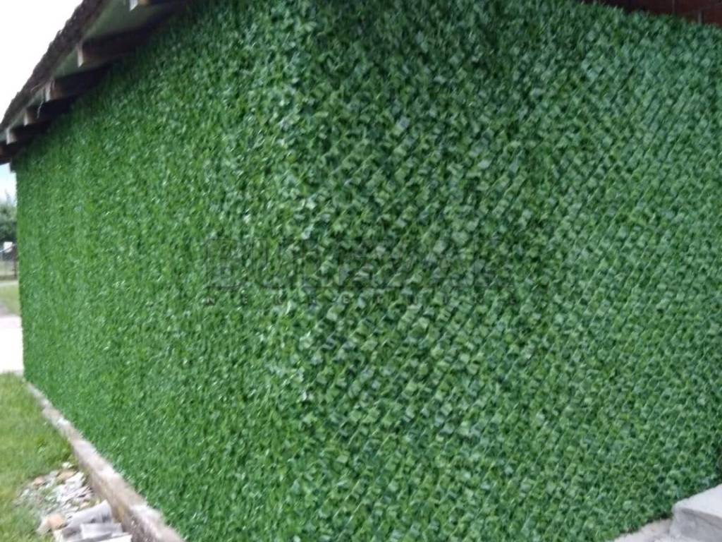 Foto 9
