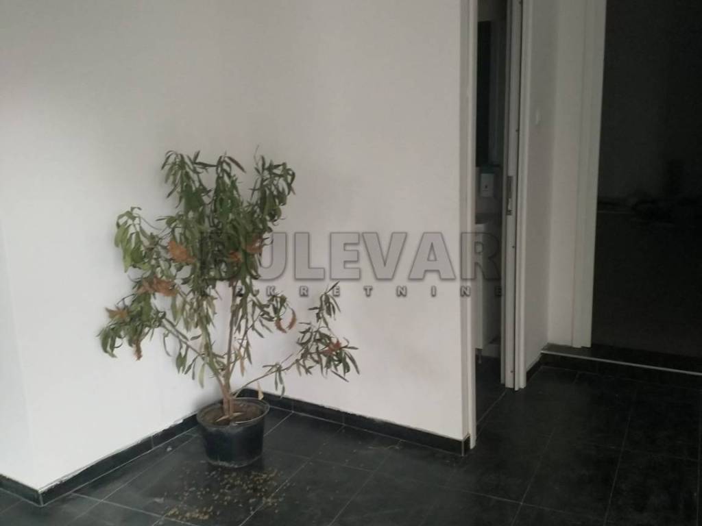 Foto 16