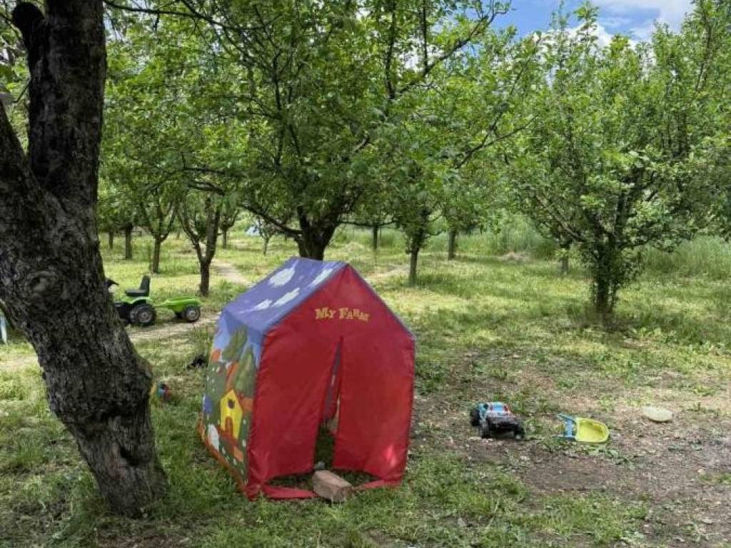 Foto 16