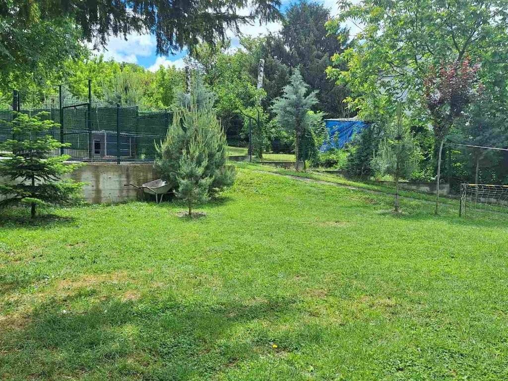Foto 48