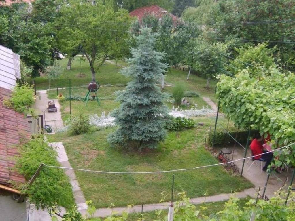 Foto 10