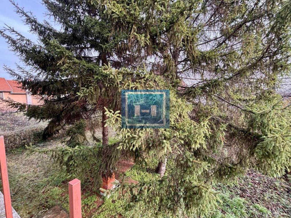 Foto 31