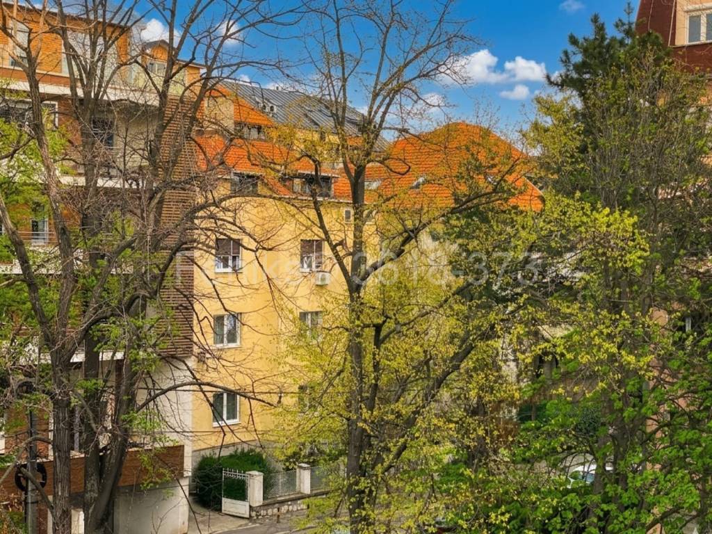 Foto 31