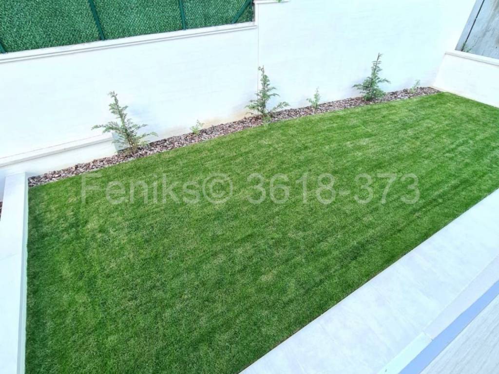 Foto 23