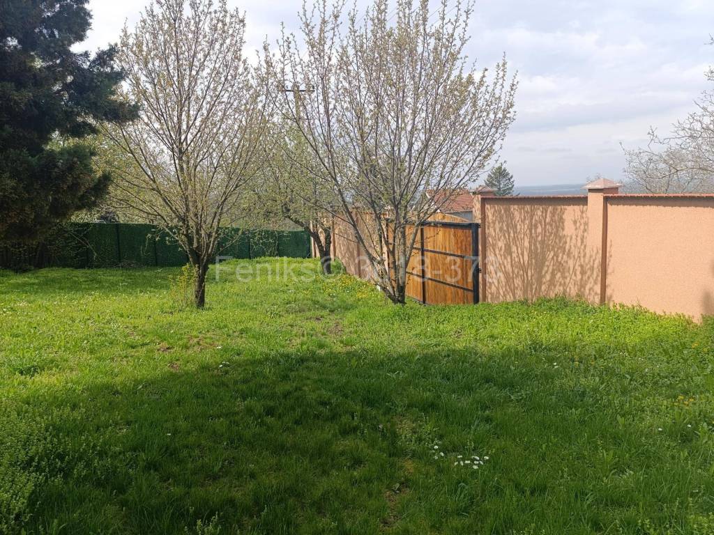 Foto 23