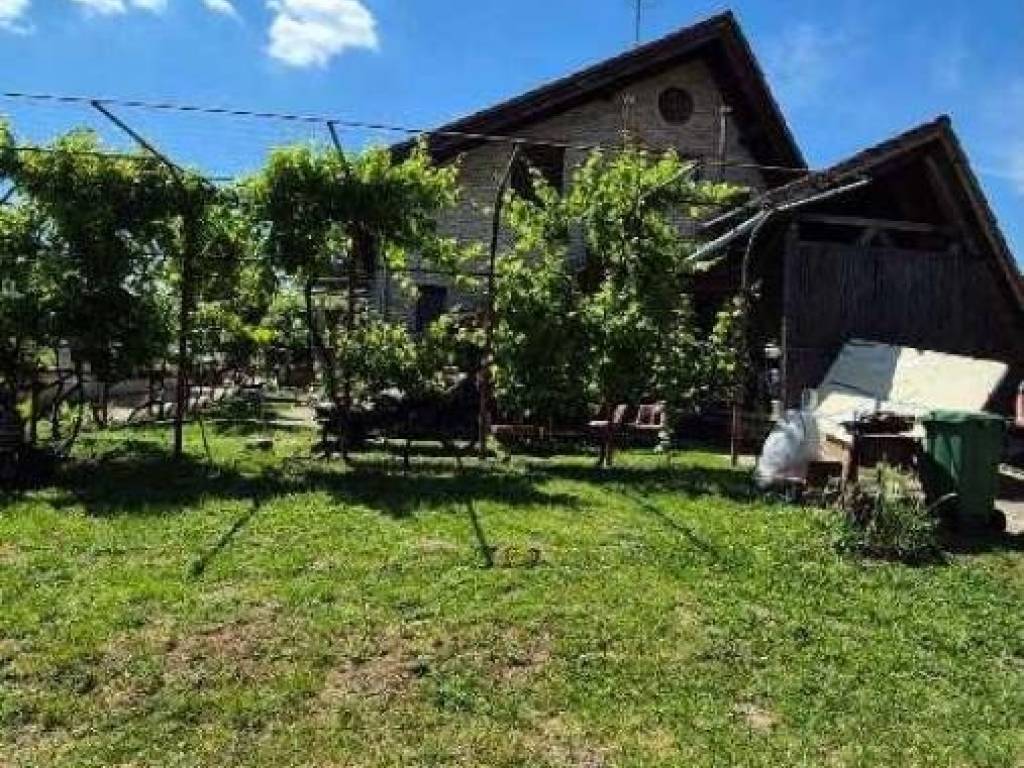 Foto 19