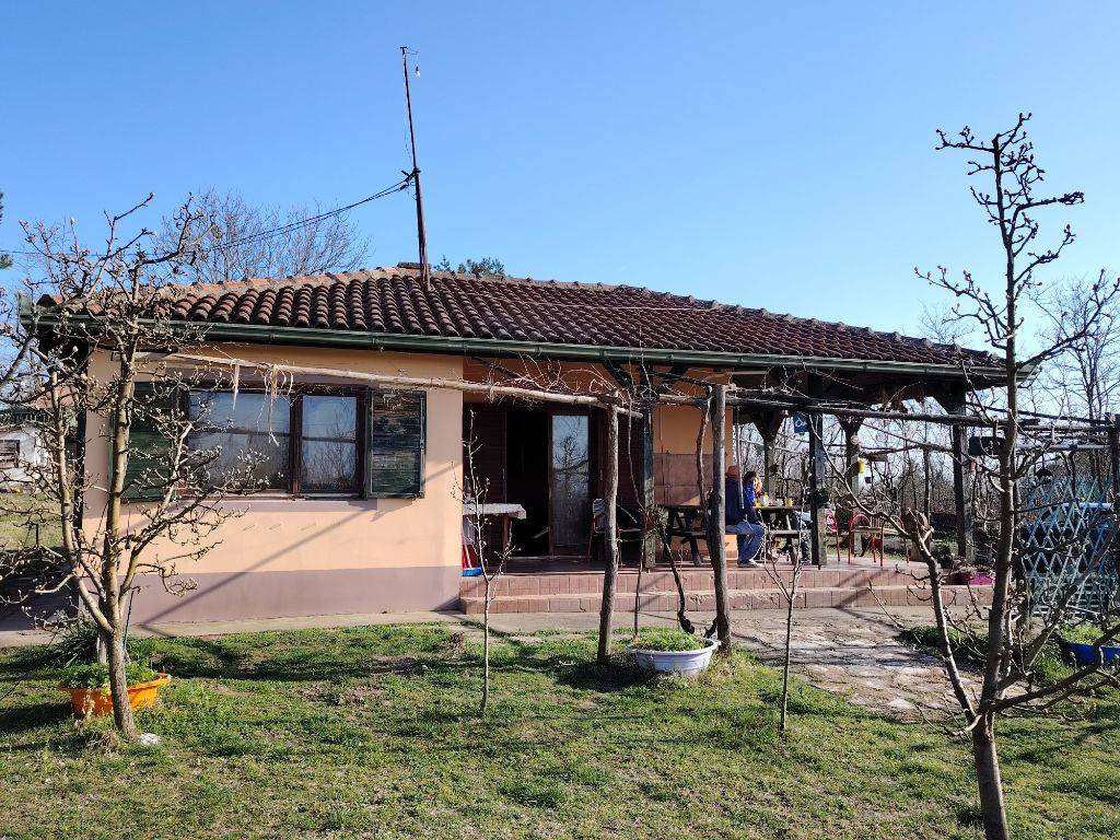Foto 7