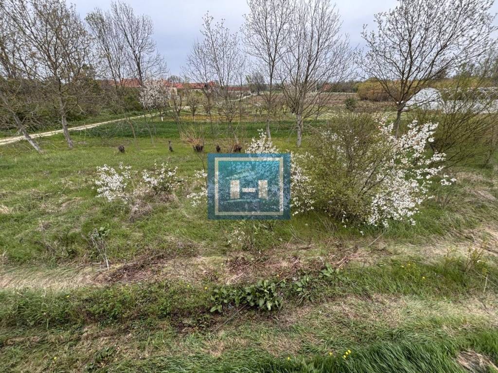 Foto 33