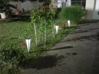 Foto 31