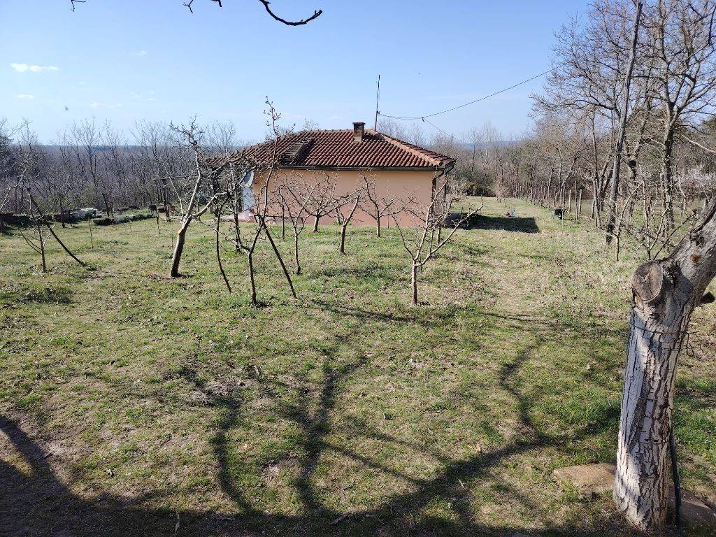 Foto 29