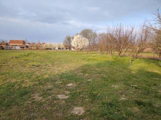 Foto 38