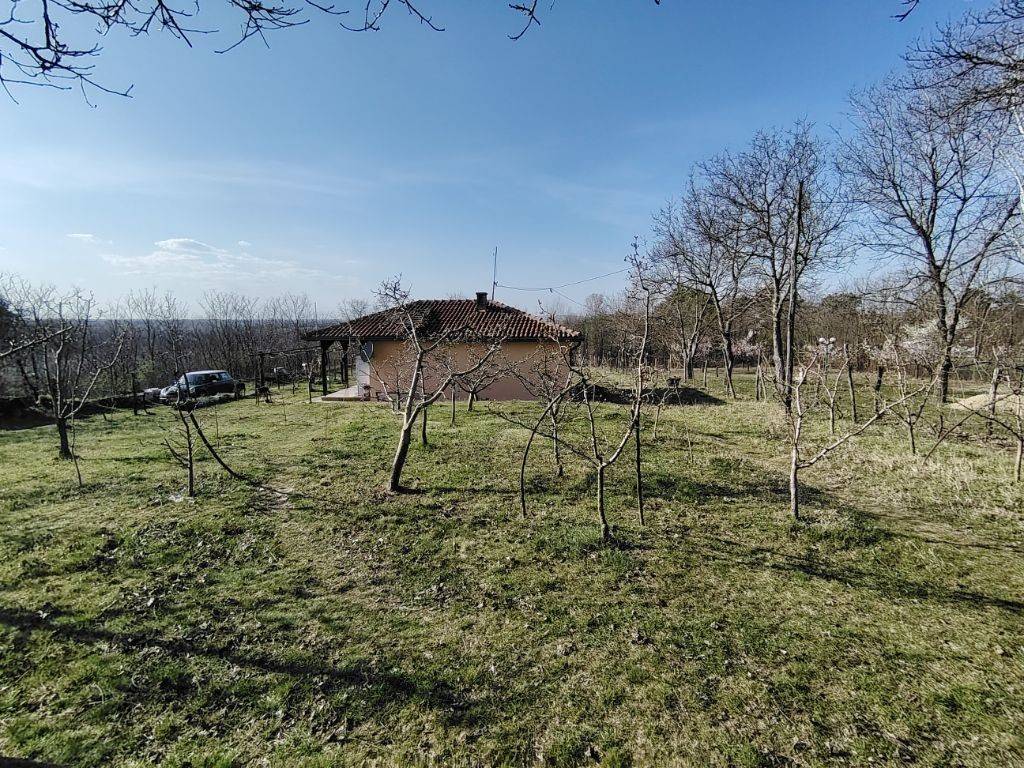 Foto 30