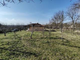 Foto 30