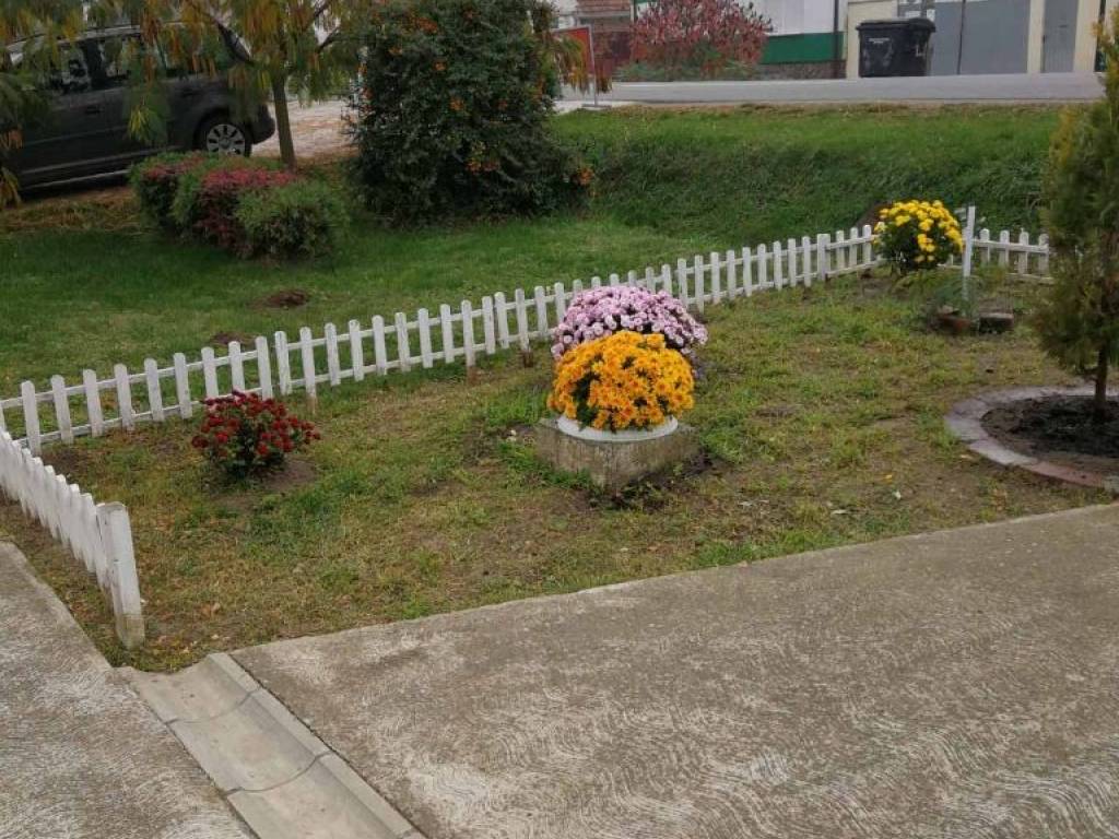 Foto 41