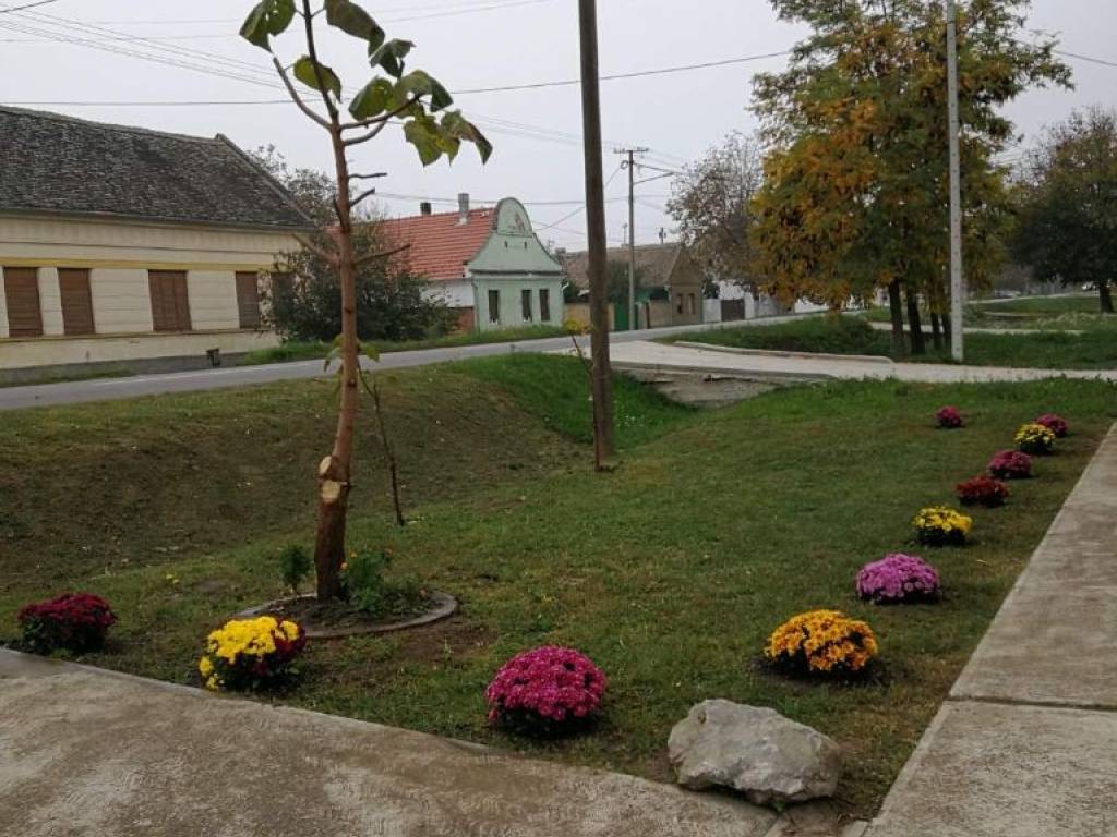 Foto 42