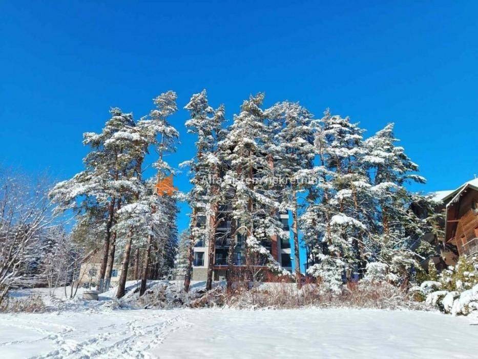 Foto 19