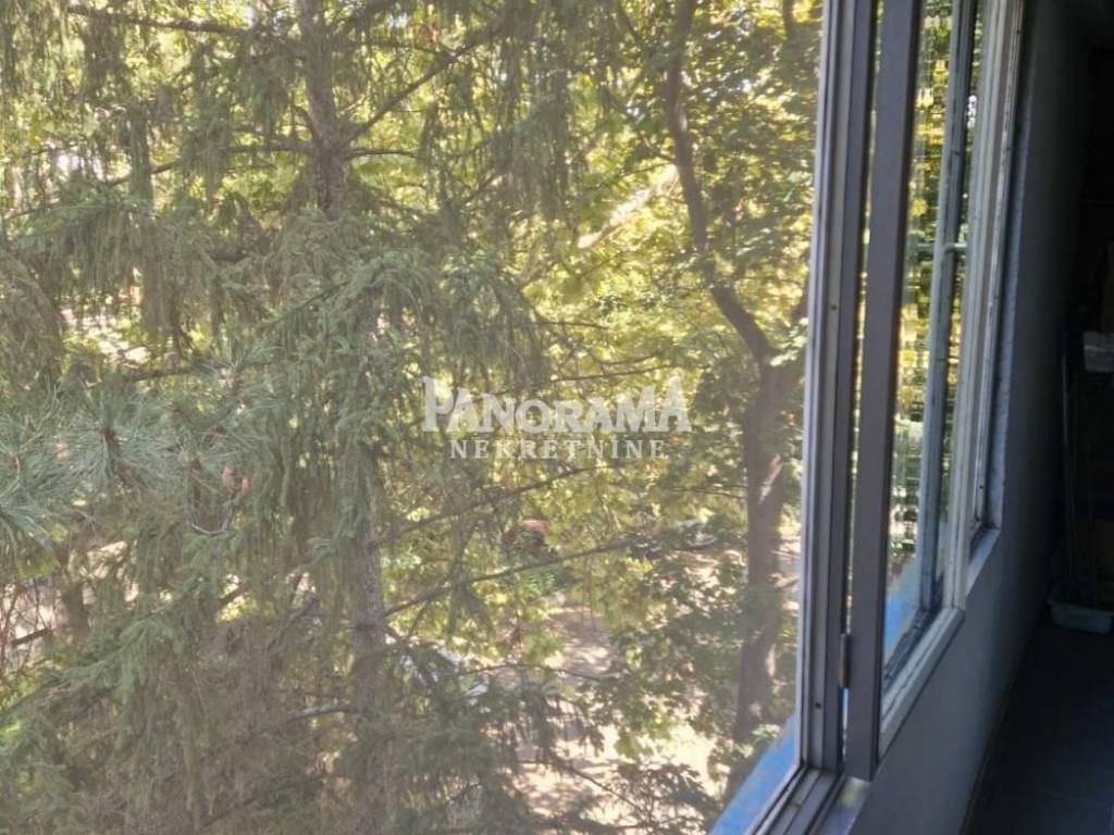 Foto 20
