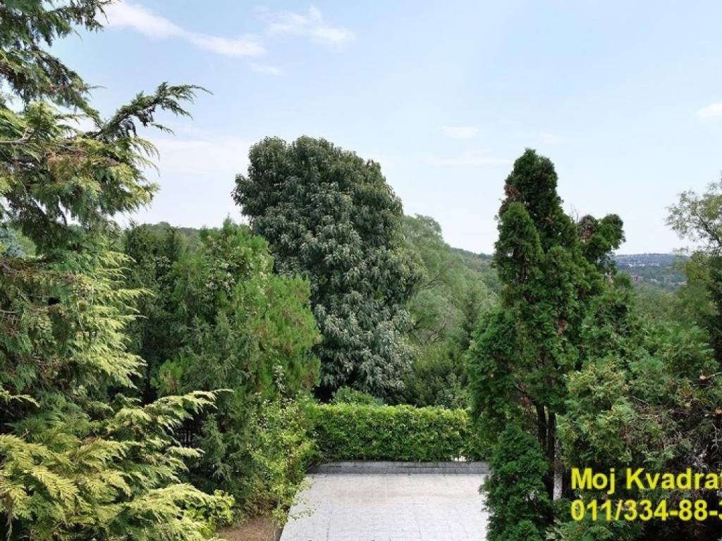 Foto 20