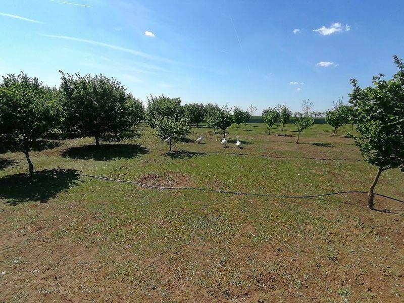 Foto 8