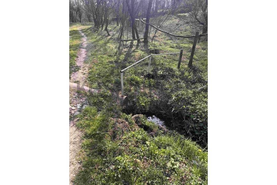 Foto 10