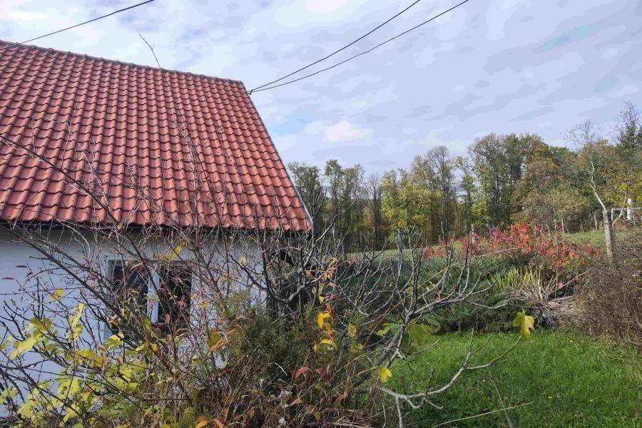 Foto 13