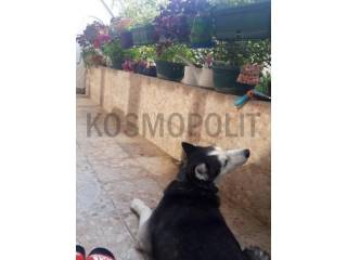 Foto 16