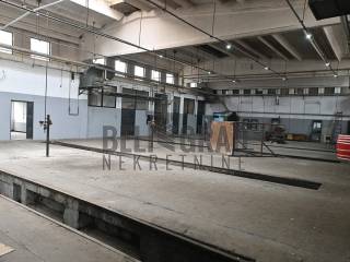 Foto 9