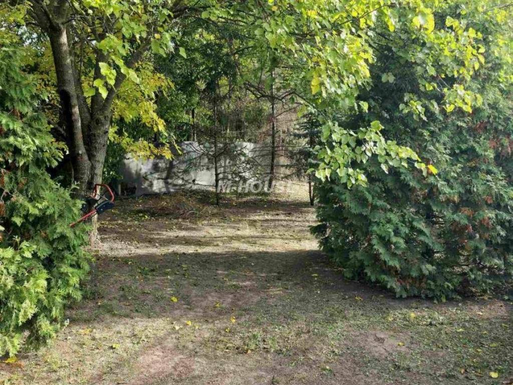 Foto 20