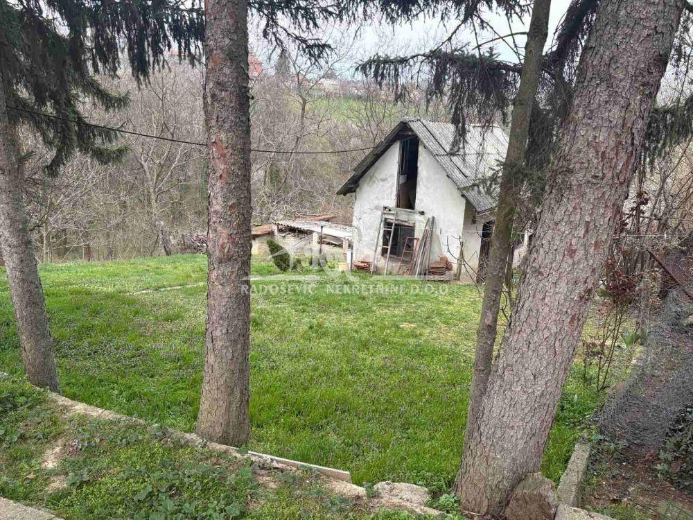 Foto 11