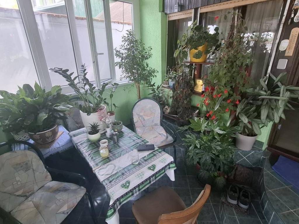 Foto 19