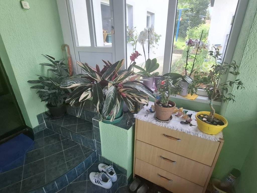Foto 20