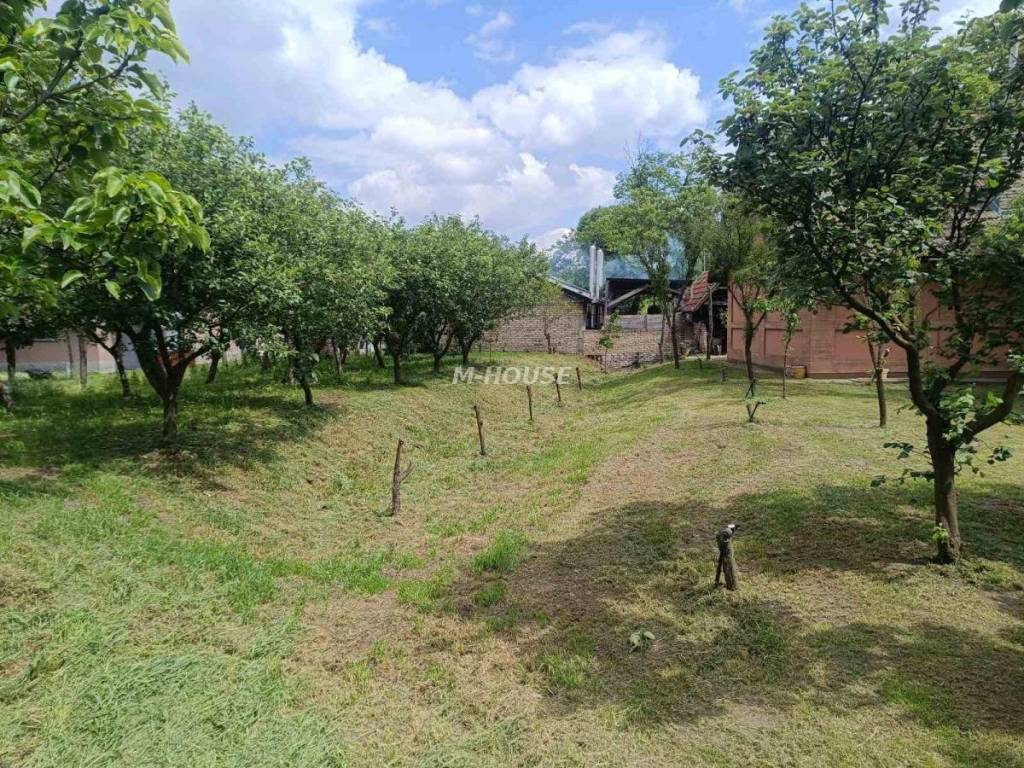 Foto 47