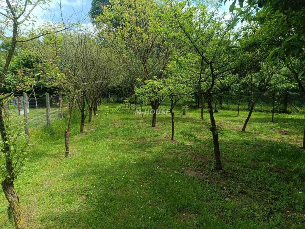 Foto 49