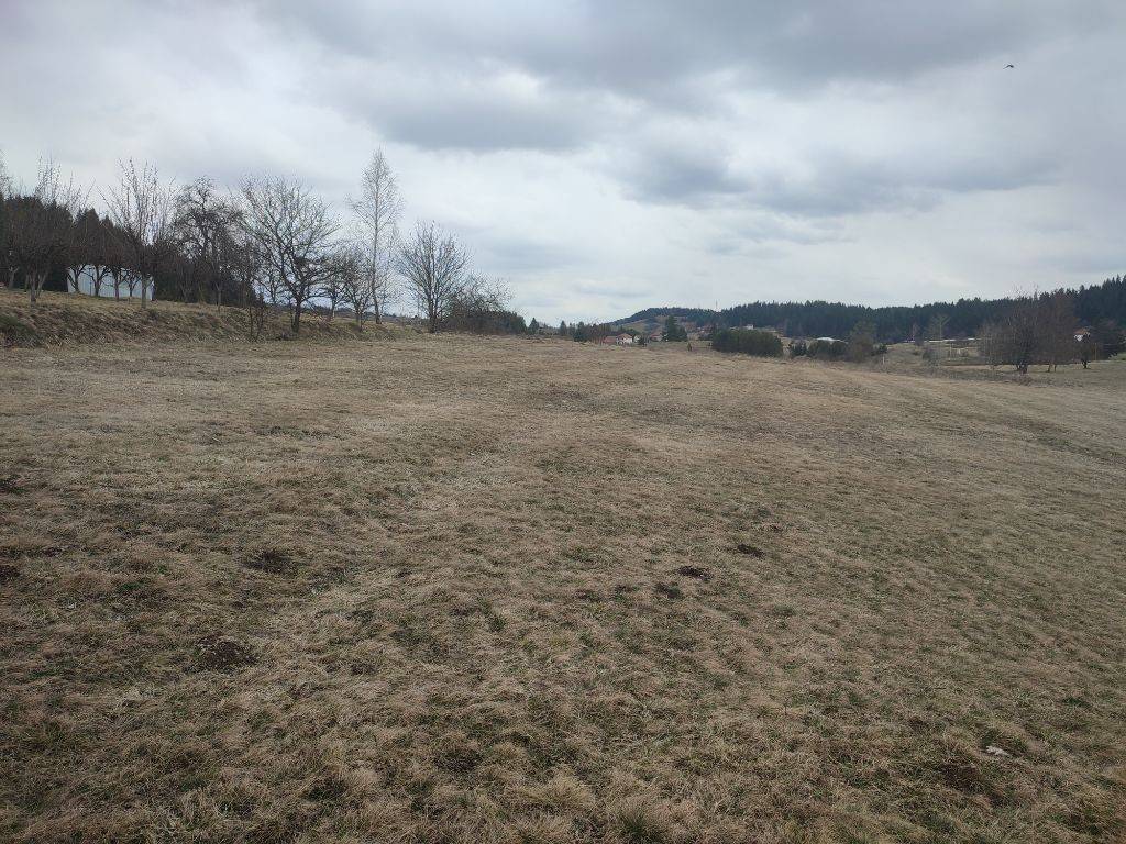 Foto 45