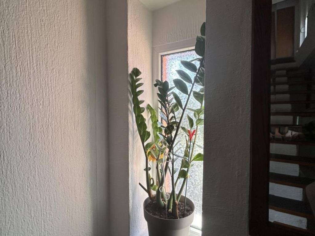 Foto 25