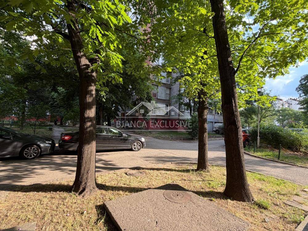 Foto 15