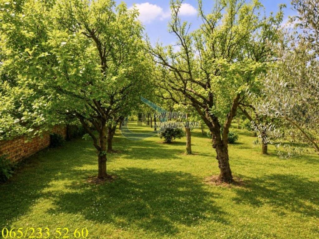 Foto 20