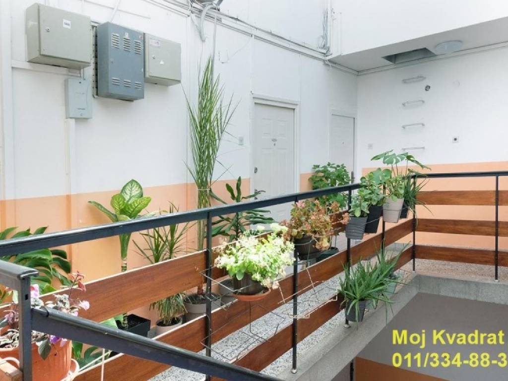 Foto 13