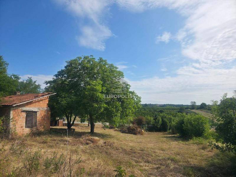 Foto 11