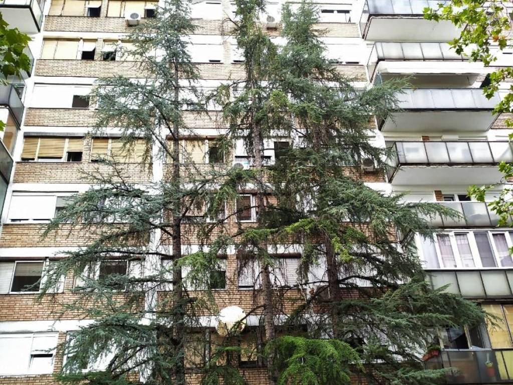 Foto 20