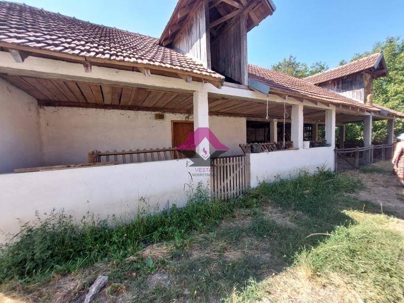 Foto 15