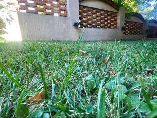 Foto 21