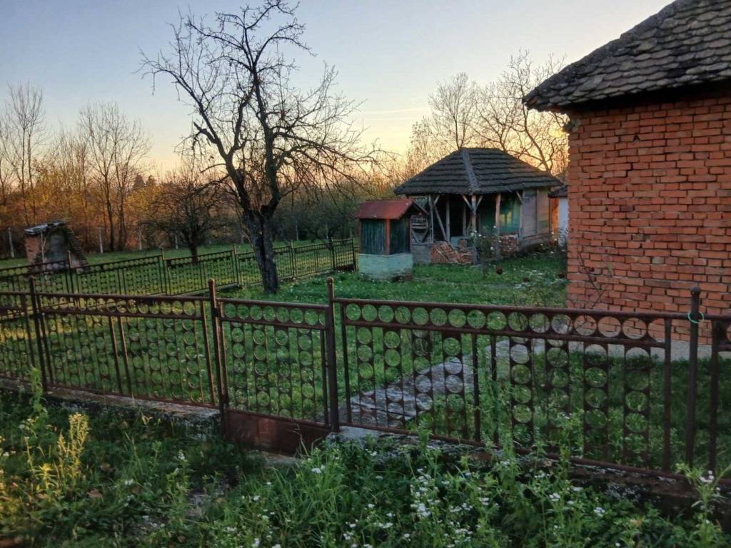 Foto 10