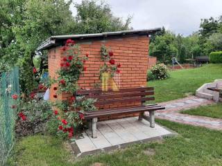 Foto 19