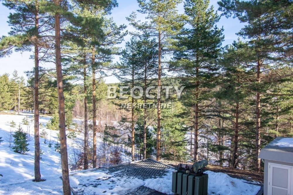 Foto 20