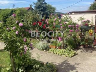 Foto 21