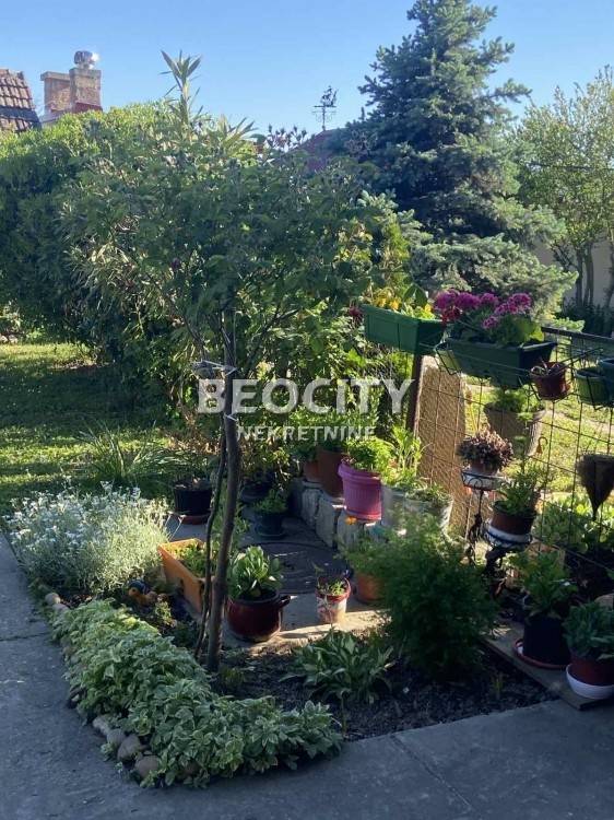 Foto 22