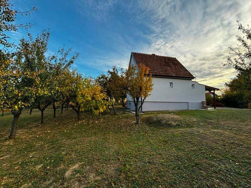 Foto 21